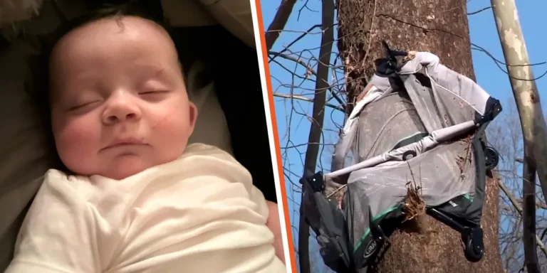 4-Month-Old Baby Sucked Up in Tornado Was Found Lying in a Tree amid Pouring Rain