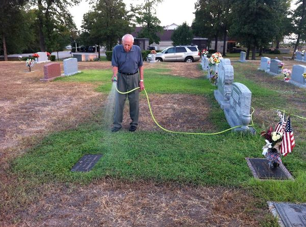 The parents went to the SON’S GRAVE and saw that only he had GREEN GRASS!