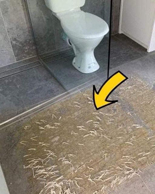 Mom Begs For Help After “Horrifying” Find In The Bathroom…. What is This? It Will Make You Shock ..