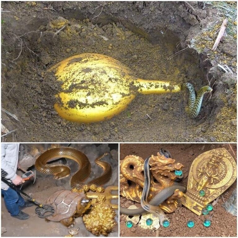 A lucky man dug up an ancient golden vase buried deep underground dating back 3,500 years. What happened right after he found it?