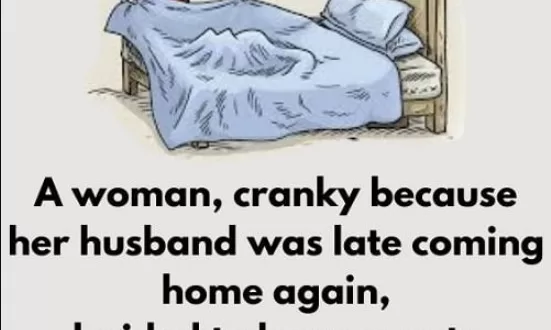 Woman hides under the bed to check on her husband