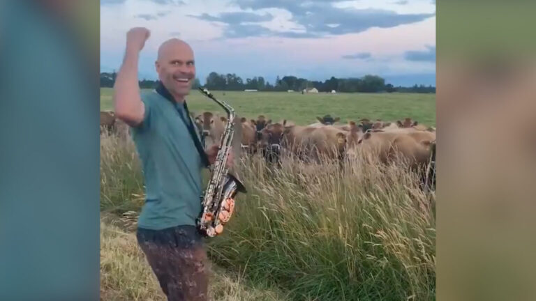 Hilarious Moment When Oregon Man Serenades Cows By Playing Saxophone