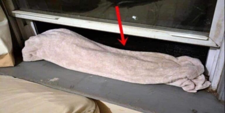 Woman puts a wet towel on the window every night. The reason why may confuse you but, From now on, you’ll do the same