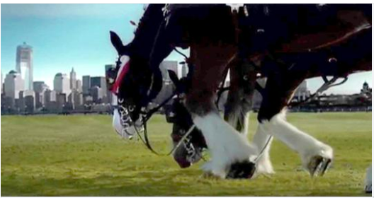 This touching 9/11 Budweiser commercial paying tribute to our nation only aired once