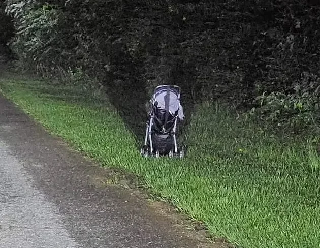 Woman Issues Frightening Warning After Finding a Stroller Abandoned on the Side of The Road